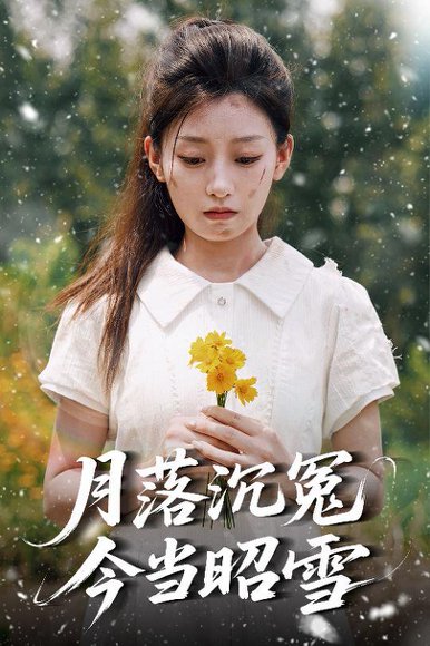 月落沉冤今当昭雪（60集）魏浩然＆王倩 高清完整版