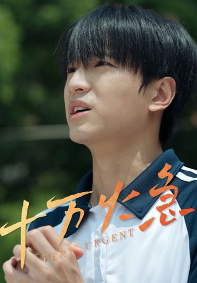 十万火急（30集） 高清完整版