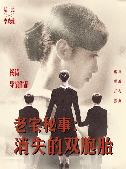 老宅秘事消失的双胞胎＆消失的孩子（90集）陆元 高清完整版