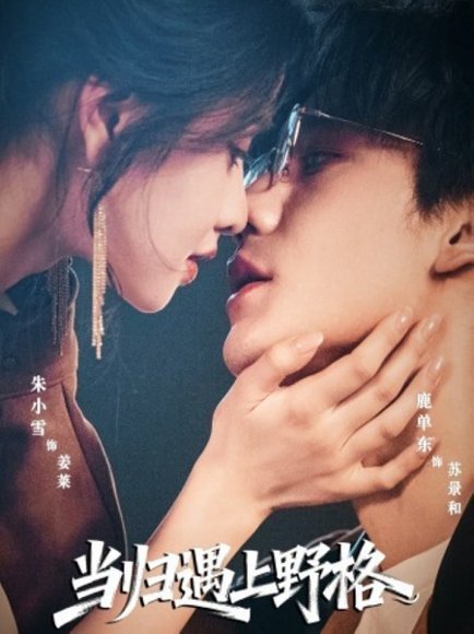 当归遇上野格（66集）鹿单东＆朱小雪 高清完整版